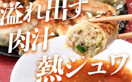 「下仁田名産シリーズ」 下仁田ねぎ殿様餃子 60個（20個×3袋）と下仁田ポーク肉餃子 45個（15個×3袋）セット 餃子 ぎょうざ ギョーザ 中華 冷凍餃子 おかず おつまみ 惣菜 マツコの知らない世界 F21K-489