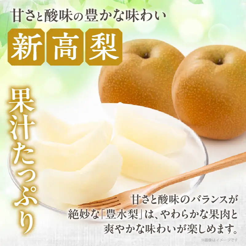 先行予約≪期間限定≫まるみ観光果樹園の『新高梨』(約4kg) なし 果物 フルーツ 天然 ミネラル栽培_T036-0025