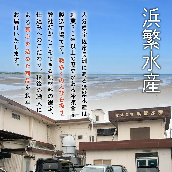 ＜訳あり＞天然むきエビフライ(計40尾 ・1袋20尾×2袋)  海老 えび エビフライ フライ 簡単 お弁当 おかず おつまみ 揚げるだけ 【104901000】【浜繁水産】