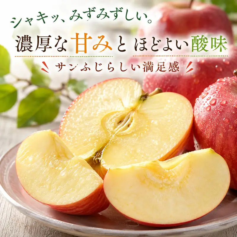 りんご 信州上田産 サンふじ 家庭用 約5kg  リンゴ 林檎 5kg サンフジ 果物 くだもの フルーツ デザート 旬の果物 旬のフルーツ 傷 長野県 長野 上田市
