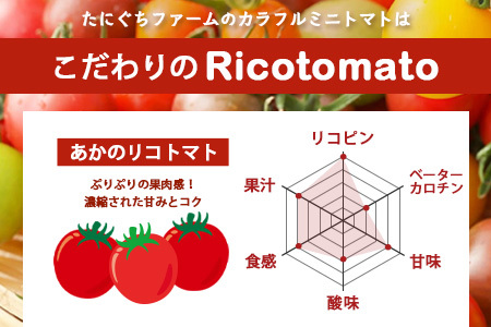 【4回定期便】【先行受付】2027年1月より順次発送予定【少量パック】完熟ミニトマト 360g (120gx3p) | トマト プチトマト 野菜 農家直送 ギフト 人気 佐賀県鹿島市 たにぐちファーム Ricotomato（リコトマト）～とりこになるトマト～ E-160