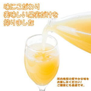 河内晩柑ストレートジュース 6本×1000ml 100% 河内晩柑 愛南ゴールド ジュース 清家ばんかんビレッジ