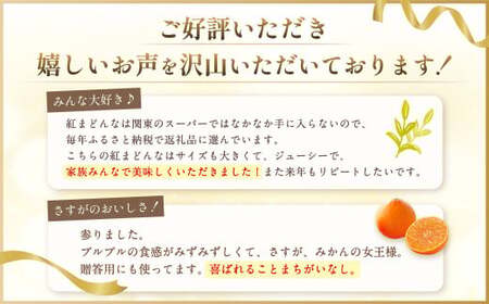 愛媛の旬の柑橘 紅まどんな（専用箱）約2.5kg  3L～Lサイズ 10～15個（青秀以上）【2026年12月発送予定】（14-2）紅まどんな 紅マドンナ まどんな マドンナ みかん ミカン 蜜柑 柑橘類 果物 くだもの フルーツ 柑橘 かんきつ 愛媛果試第28号 常温 国産 愛媛 愛媛県 先行予約