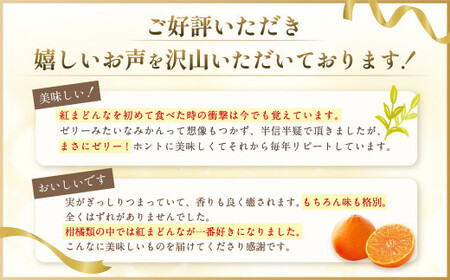 愛媛の旬の柑橘 「紅まどんな」約1.7kg 4L～Lサイズ 6～10個（青マル以上）【2026年12月発送予定】（11-2）紅まどんな 紅マドンナ まどんな マドンナ みかん ミカン 蜜柑 果物 くだもの フルーツ 柑橘 柑橘類 かんきつ 愛媛果試第28号 常温 国産 愛媛 愛媛県 先行予約
