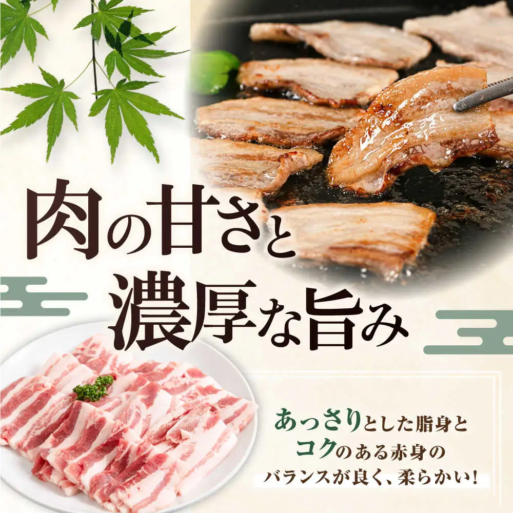 【全3回定期便】平田牧場 バラ 焼肉用 200g 豚肉 カルビ スライス [AJAP152]