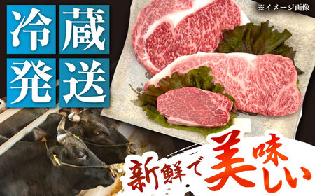 飛騨牛 A5 ステーキ3種盛り！ ヒレ・サーロイン・リブロース / 恵那市 / 東美濃農業協同組合 [AUFX024]