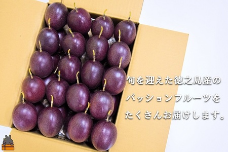 【今が旬！】 徳之島 幸（こう）果樹園さんのパッションフルーツ（3kg）（ フルーツ 果物 旬 スイーツ 島 いいね 大容量 家族 夏 パッション 果樹 徳之島 奄美 鹿児島 幸果樹園)