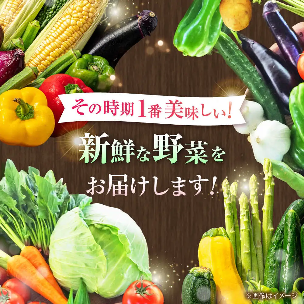 旬の 野菜 セット 約3kg/ 野菜 7-8品程度 BHAK023