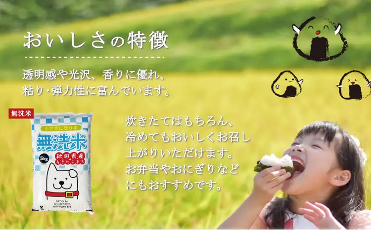 【定期便3ヶ月】令和7年産　秋田県産米「あきたこまち（無洗米）」 5kg（5kg×1袋）150P9204【真正ファーム】