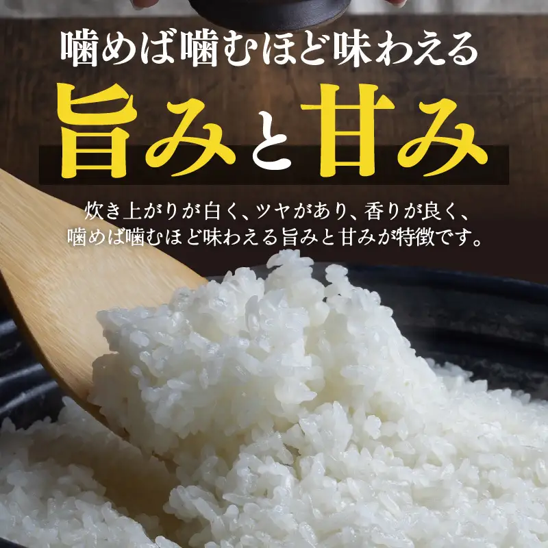 【先行予約】【令和8年産】定期便 ≪6ヶ月連続お届け≫ 特別栽培米 コシヒカリ 精米 10kg×6回（計60kg）※2026年10月上旬より順次発送 [aw121-k002]