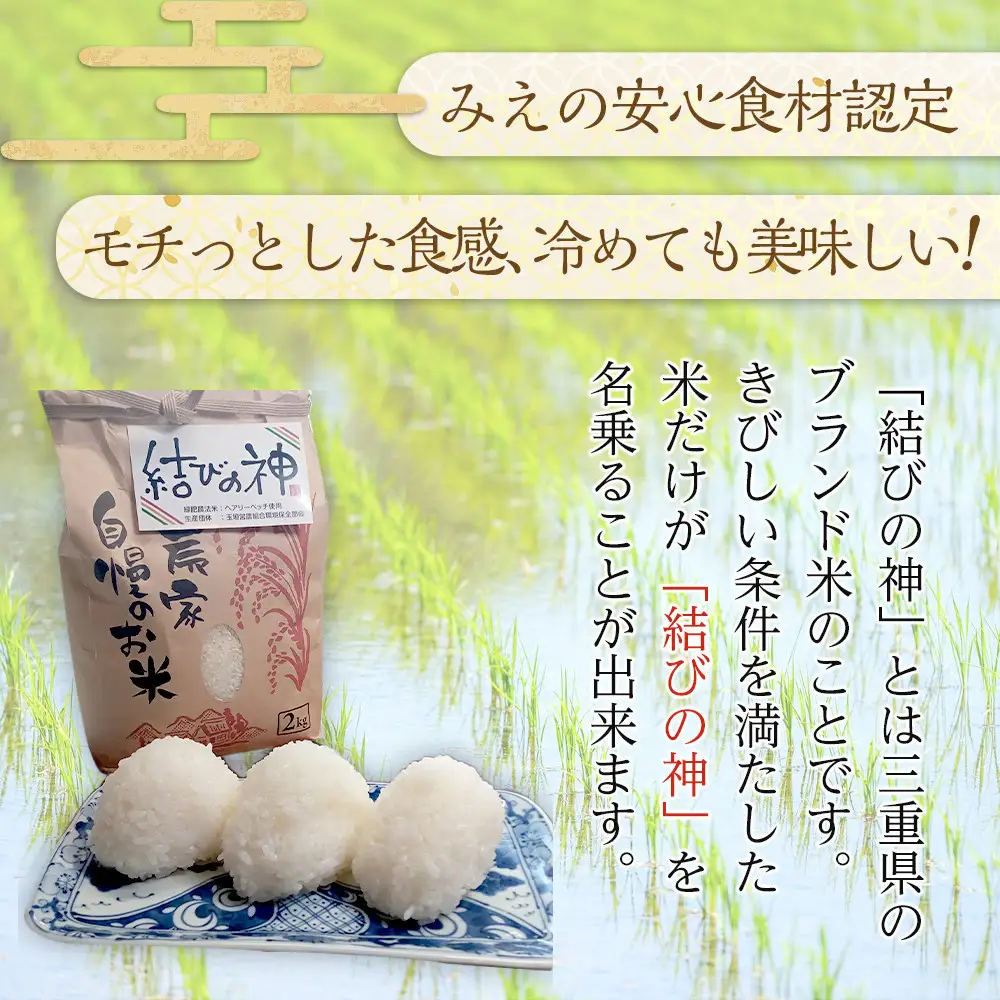 【先行予約】R8年産 白米 結びの神　5kg　三重県オリジナル品種