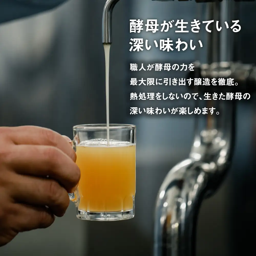 【定期便3ヶ月】あわぢびーる飲み比べ６本セット《淡路島のクラフトビール》