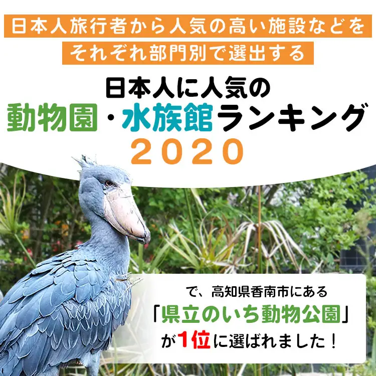 【返礼品なし】高知県立のいち動物公園 動物支援(飼料費支援) 5,000円 ni-0005