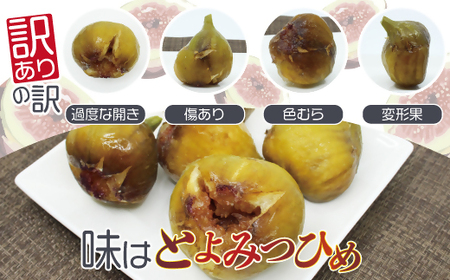 福岡県産いちじく「とよみつひめ」　冷凍パック1kg（500g×2袋）[H2326]