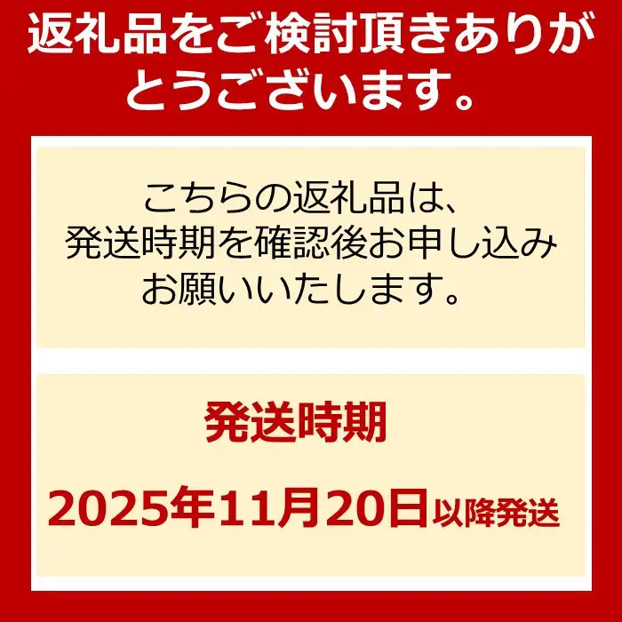 ポータブルアンプ　HAKU HAKUshin