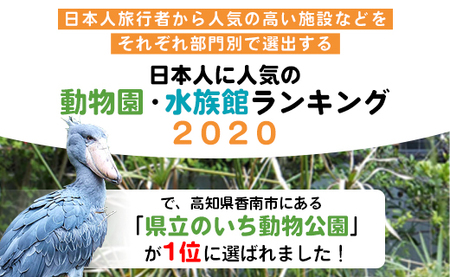 【返礼品なし】高知県立のいち動物公園 動物支援(飼料費支援) 30,000円 ni-0008