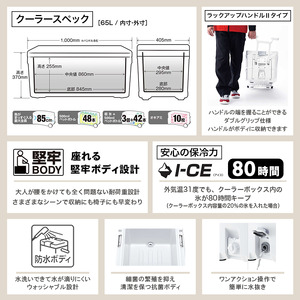 シマノ スペーザ ホエール ベイシス 65L (ピュアホワイト) クーラーボックス | シマノ クーラーボックス アウトドア 保冷 クーラー 釣り キャンプ 信州 南信州 送料無料 ふるさと納税 長野県 飯田市