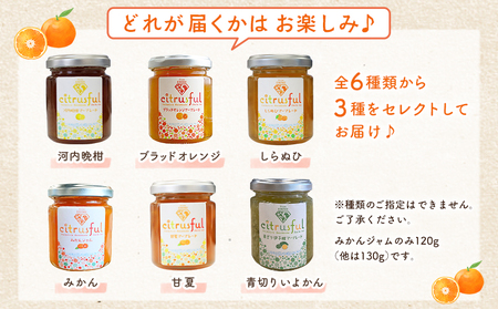 ＜マーマレード・ジャム 3種セット＞ 国産 愛媛県産 西宇和 マーマレード ジャム セット 3個 産地直送 季節のジャム みかん ミカン 果物 フルーツ 柑橘 オレンジ 蜜柑 手作り 果実 手作りジャム 小林果園 愛媛県 西予市 【常温】『1か月以内に順次出荷予定』OKE0004