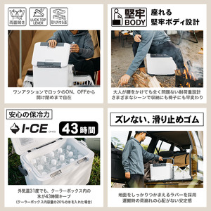シマノ フィクセル ベイシス 17L (ピュアホワイト) クーラーボックス NF-317X | シマノフィクセル クーラーボックス アウトドア 保冷 クーラー 釣り キャンプ 信州 南信州 送料無料 ふるさと納税 長野県 飯田市