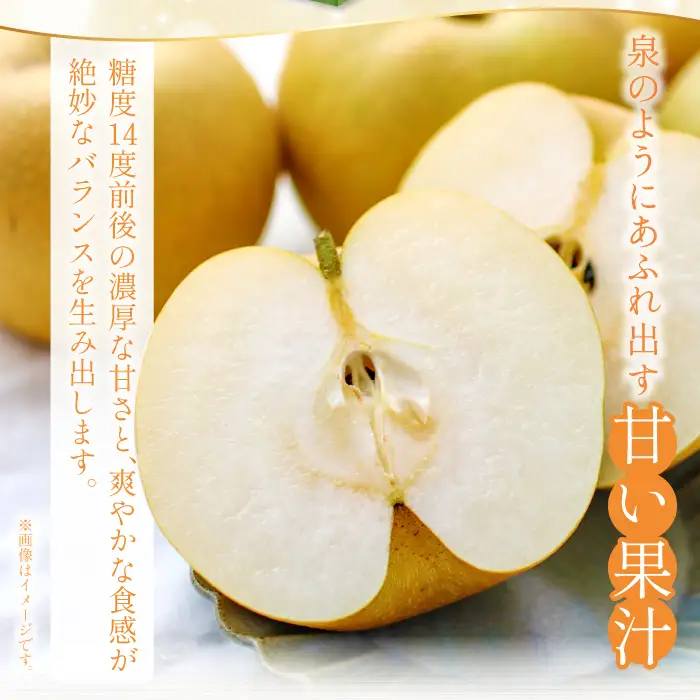 新甘泉3kg箱(鳥取県大山町産梨)【梨 新甘泉 赤秀 先行予約 季節限定 赤梨 3kg 5玉～8玉 なし 贈答用 期間限定 果物 フルーツ くだもの 数量限定】