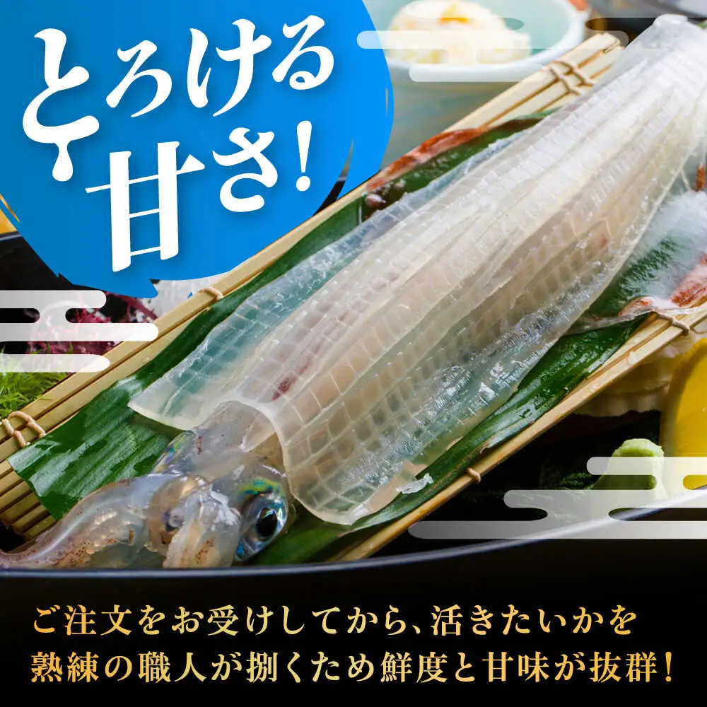 いか活造り定食お食事券（2名様分） / 佐賀県 / 河太郎呼子店 [41ABAE001]