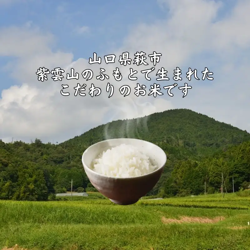 新米予約！野菜ソムリエプロselect／萩のお米「紫雲山プレミアム」 萩市紫福産コシヒカリ・はぜかけ米5㎏