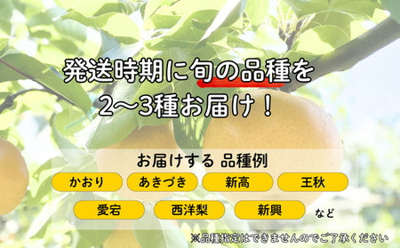 梨 詰め合わせ 先行予約 約6玉 小川梨 季節の品種 萩産