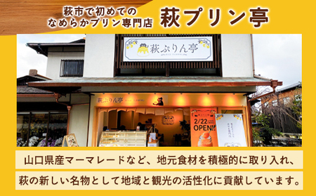 萩ぷりん亭定番セット（6個入）