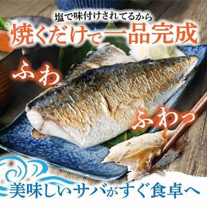 訳あり 塩サバ 2kg 約12枚 【R01425】