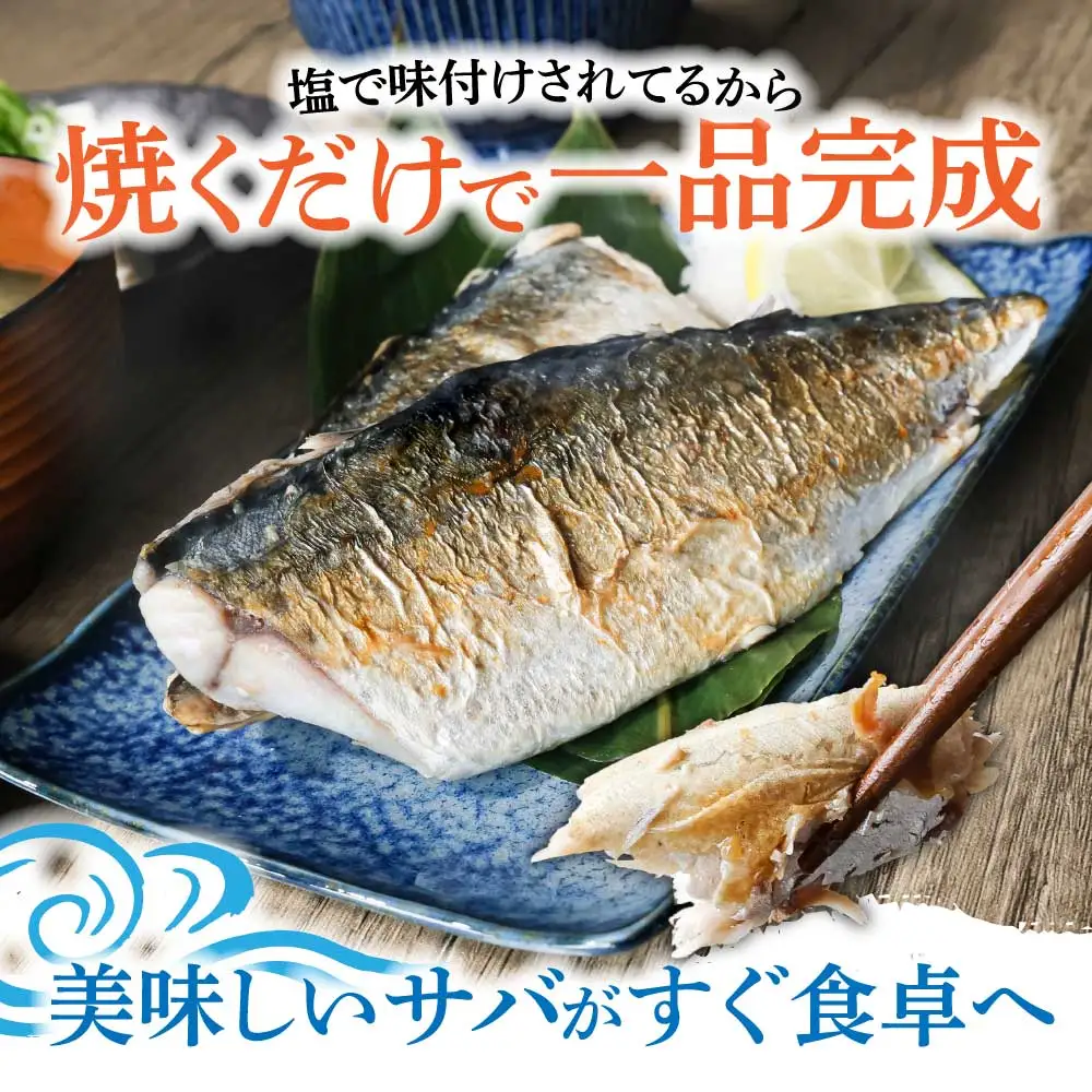 訳あり 塩サバ 3kg 約18枚 さば 鯖【R01426】