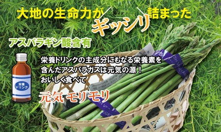 全国生産量 第2位！アスパラガス（1,600g）新鮮採れたて 農家直送 アスパラ B170-021