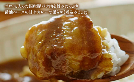 【 定期便 4ヶ月 】カレー 豚の角煮カレー 5個 セット ニシキヤ キッチン レトルト