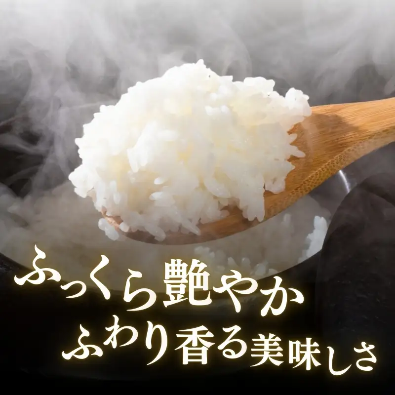 【定期便6か月】食味鑑定士厳選 コシヒカリ 無洗米 コシヒカリ 5kg