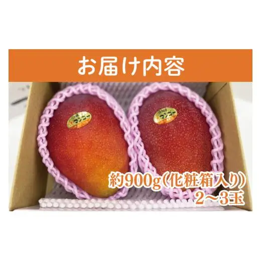 【先行受付】【2027年発送】豊見城産アーウィンマンゴー約900g（化粧）黒秀 AE006