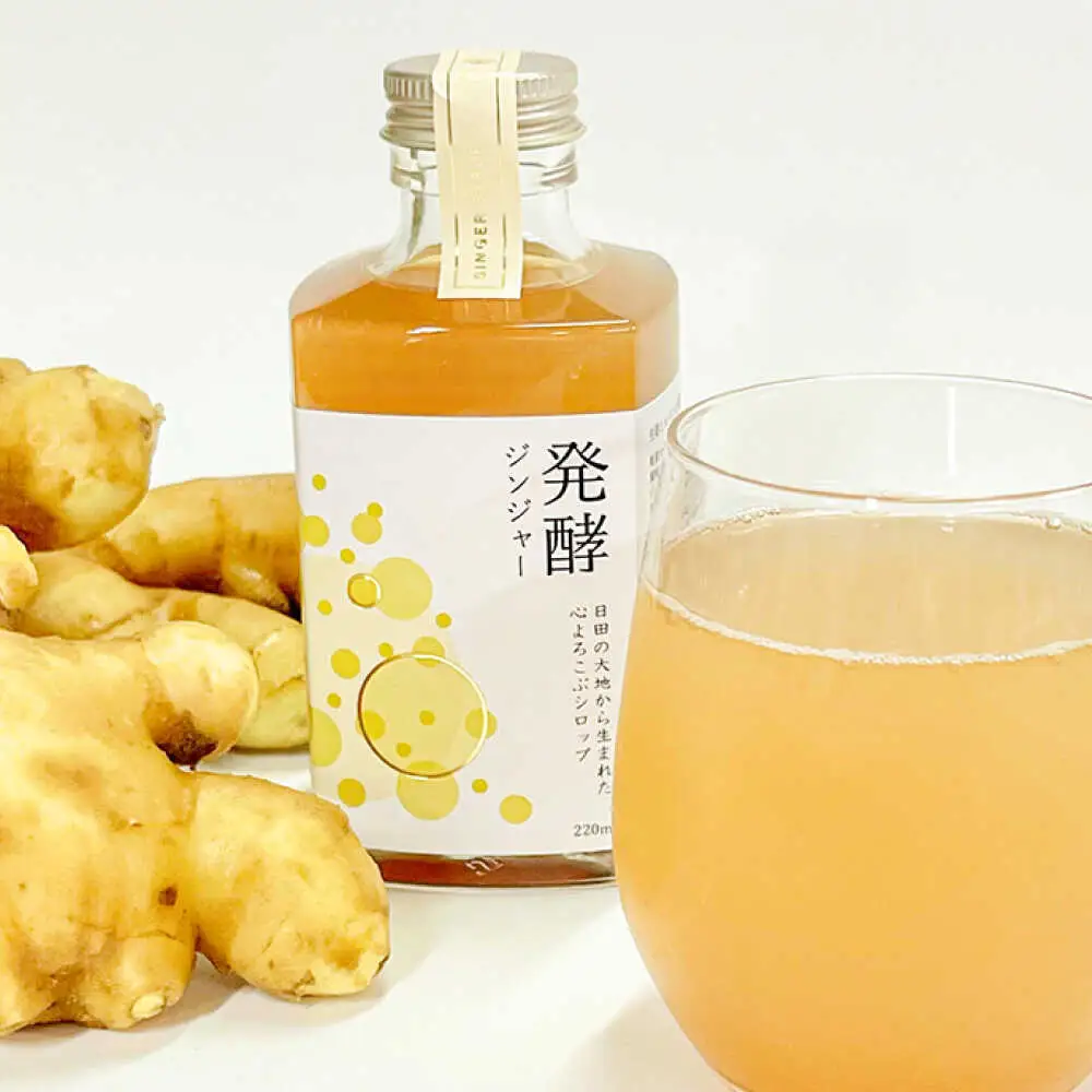【お中元対象】ピリっと生姜にスパイスの甘い香り！身体にも心にも優しい発酵ジンジャーシロップ発酵ジンジャー（４本セット）  スパイス 炭酸 シロップ[ARDA012]