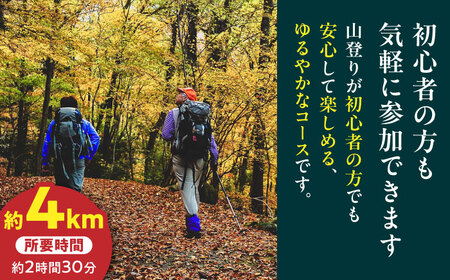 森林セラピー(犬ヶ岳せせらぎの森コース)  VDO002 体験 ツアー 登山