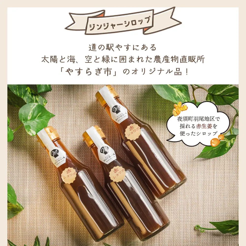 ジンジャーシロップ 200ml×5本 生姜 ジンジャーシロップ yr-0125