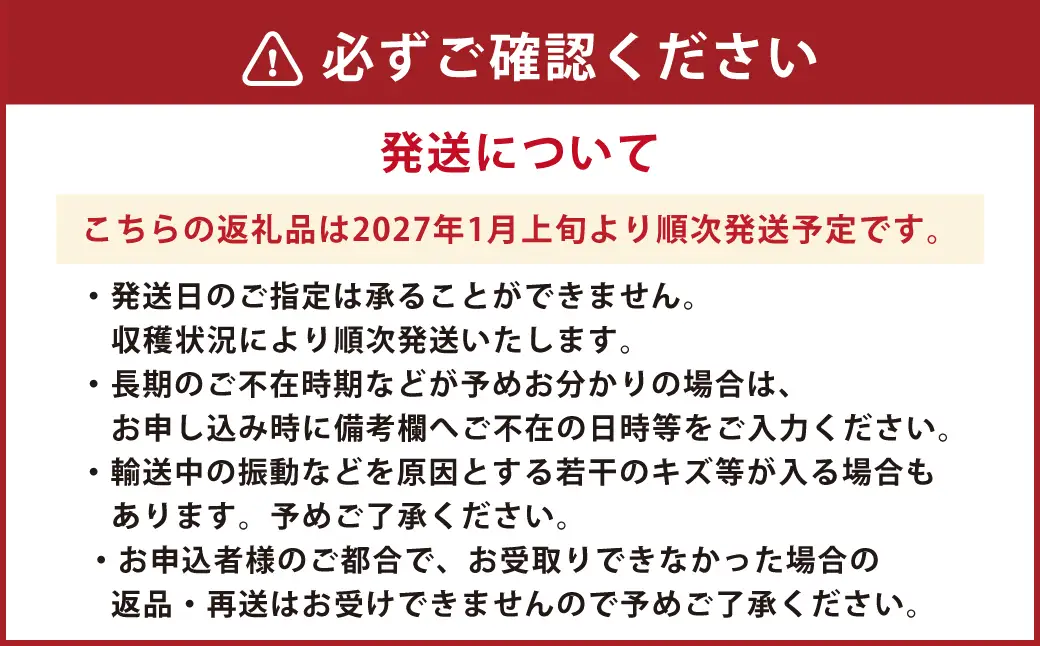 朝摘み当日発送！熊本県産いちご(ゆうべに) 約500g (250g×2パック） 【2027年1月上旬発送開始】