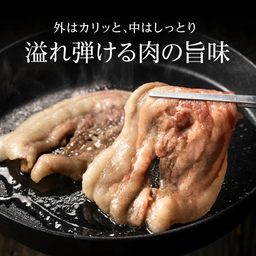 猪肉 焼き肉 食べ比べ（特選 400g (2～3人前) 猪肉 TS-D014-400g
