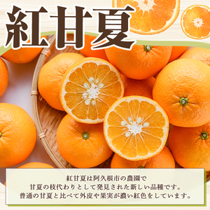 ＜先行予約受付中！2027年2月上旬以降順次発送予定＞ 訳あり！紅甘夏 (約9kg) 国産 紅甘夏 柑橘 果物 フルーツ デザート 果実 期間限定 数量限定 【古田果樹園】akn093-04