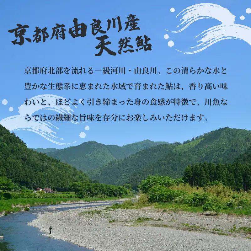 天然鮎 網獲り 冷凍 約0.5kg（約7匹～11匹） あゆ 鮎