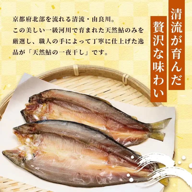 天然鮎 一夜干し 5パック（15匹） あゆ 鮎 一夜干し