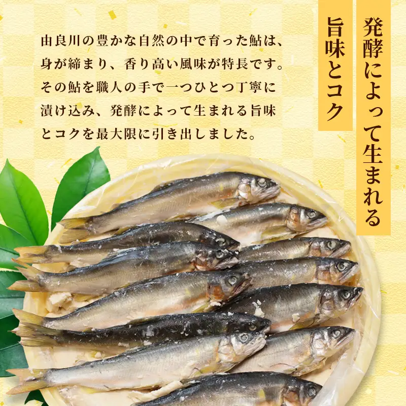 天然鮎の粕漬け 6匹 あゆ 鮎 粕漬け