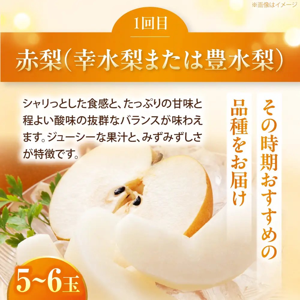 【先行予約】【3回定期便】梨・ぶどう・柿 旬のフルーツ定期便 BKAY030 フルーツ