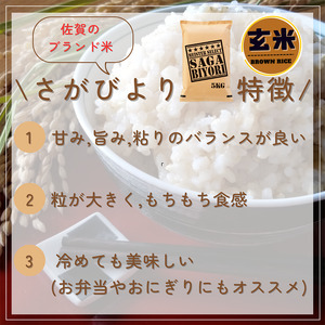CIC29_『新米予約』令和７年産　さがびより【玄米】５㎏　※新米収穫後11月以降発送