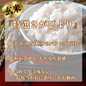 CIC37_『新米予約』令和７年産　特選さがびより【玄米】10㎏(５㎏×２袋)　※新米収穫後11月以降発送