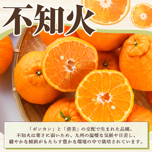 ＜先行予約受付中！2027年3月上旬以降順次発送予定＞ 訳あり！露地栽培の不知火(4kg) 国産 不知火 しらぬい 柑橘 果物 フルーツ デザート 露地 果実 期間限定 数量限定 【古田果樹園】akn093-03