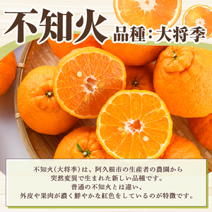 ＜先行予約受付中！2027年3月上旬以降順次発送予定＞ ＼テレビで紹介されました！／訳あり！露地栽培の不知火(約4kg：大将季) 国産 不知火 しらぬい 柑橘 果物 フルーツ デザート 露地 果実 期間限定 数量限定【古田果樹園】akn093-07