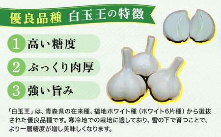 【OLAHO】白玉王にんにく 1kg 35P3207【OLAHO】
