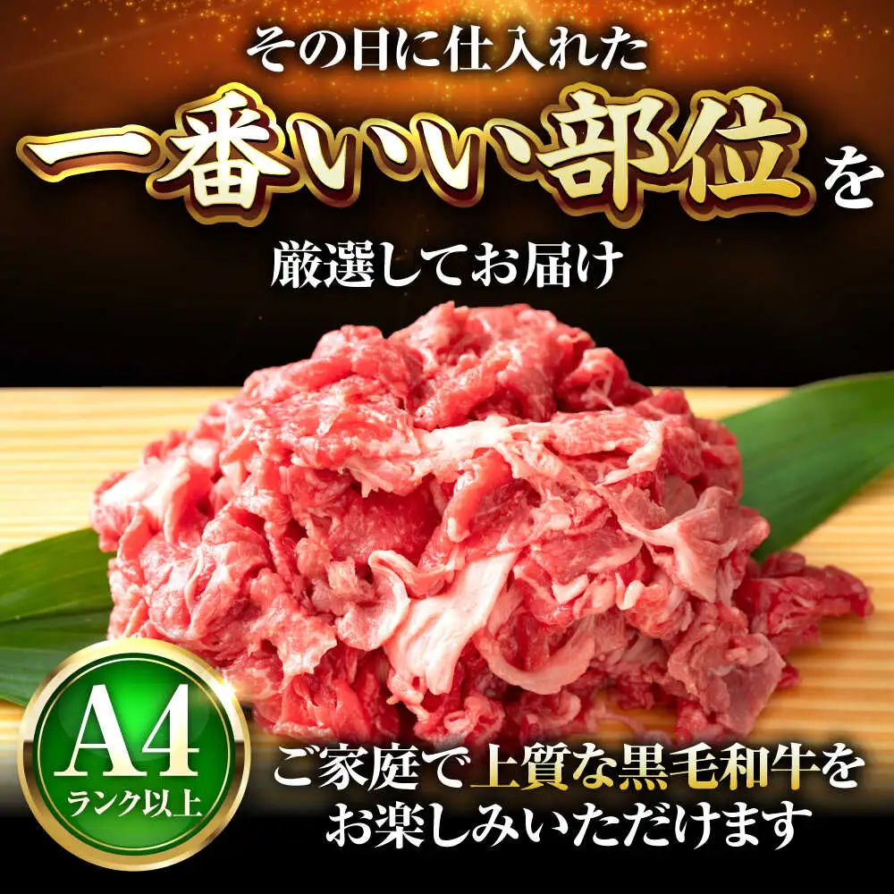 【全12回定期便】博多和牛 切り落とし 500g[BGAB100]牛肉 大容量